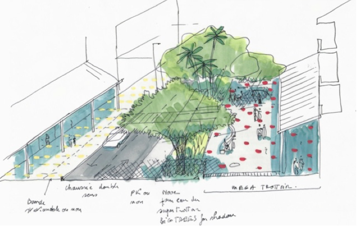 Croquis d'arbres dans la ville de Saint-André